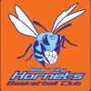 #183 River City Hornets Logo