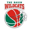Basin G 8.2 Logo