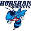 Horsham U/14 girls  Logo