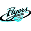 Swan Hill Flyers - Davies Logo