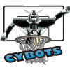 MAIL BOAT CYBOTS Logo