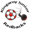 Sports First Redbacks Logo