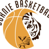 Burnie Tigers 16G 2020 Logo