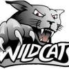 Wynyard Wildcats 16G 2020 Logo