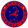 Epsom Strikers Logo