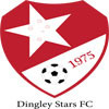Dingley Stars FC whites