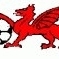 Bunbury Dynamos Football Club Logo