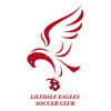 Lilydale Eagles SC Logo