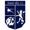 Diamond Valley United SC Logo
