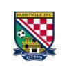 Hurstville FC Logo