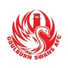 GOULBURN CITY SWANS Logo