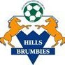 Hills Brumbies Logo