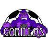 Glebe Gorillas Logo