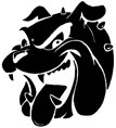 WW/Girral Bulldogs Under 16s 2014