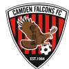 CAMDEN FALCONS AAW 2 Logo