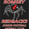 Romsey Juniors Logo