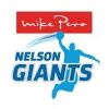 Mike Pero Nelson Giants Logo