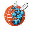 Hornets 10.1 Logo