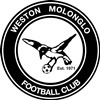 Weston Molonglo - W.Div 3 Logo