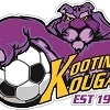 Kootingal Kougars Purple Logo