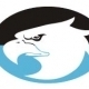 Collie Eagles League Logo