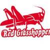 Red Grass Hopper