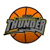 SOUTH THUNDER Logo