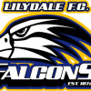 Lilydale Blue  Logo