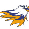 FTG Eagles Blue Logo