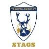 Toronto Awaba FC Logo