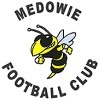 Medowie FC Logo