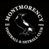 Montmorency 1 Logo