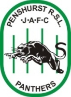 Penshurst Panthers Green U17-2