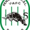 Penshurst RSL Panthers U11 Logo