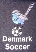 Denmark Soccer Club