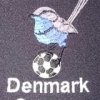 Denmark White Women B Logo