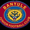 Banyule Logo