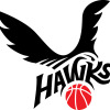 HAWKS SPRATT Logo