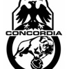 Concordia International Huntsman Logo