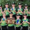 Tball Girls Divisionals - Small image