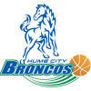 BROADMEADOWS 3 Logo