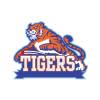 U17 Boys Tigers Lightning Logo