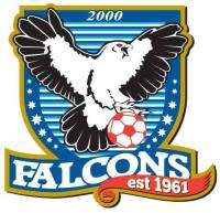 Falcons 2000 Blue