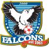 Falcons 2000 Blue Logo