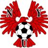 Nambour Yandina United FC Logo