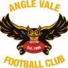 2021 Angle Vale Football Club U15  Logo