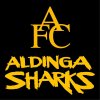 ALDINGA U16 2012 Logo