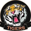Tigers (Colts) Logo