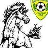 Mitchelton Mustangs Logo