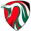 Pines Junior Football Club Logo